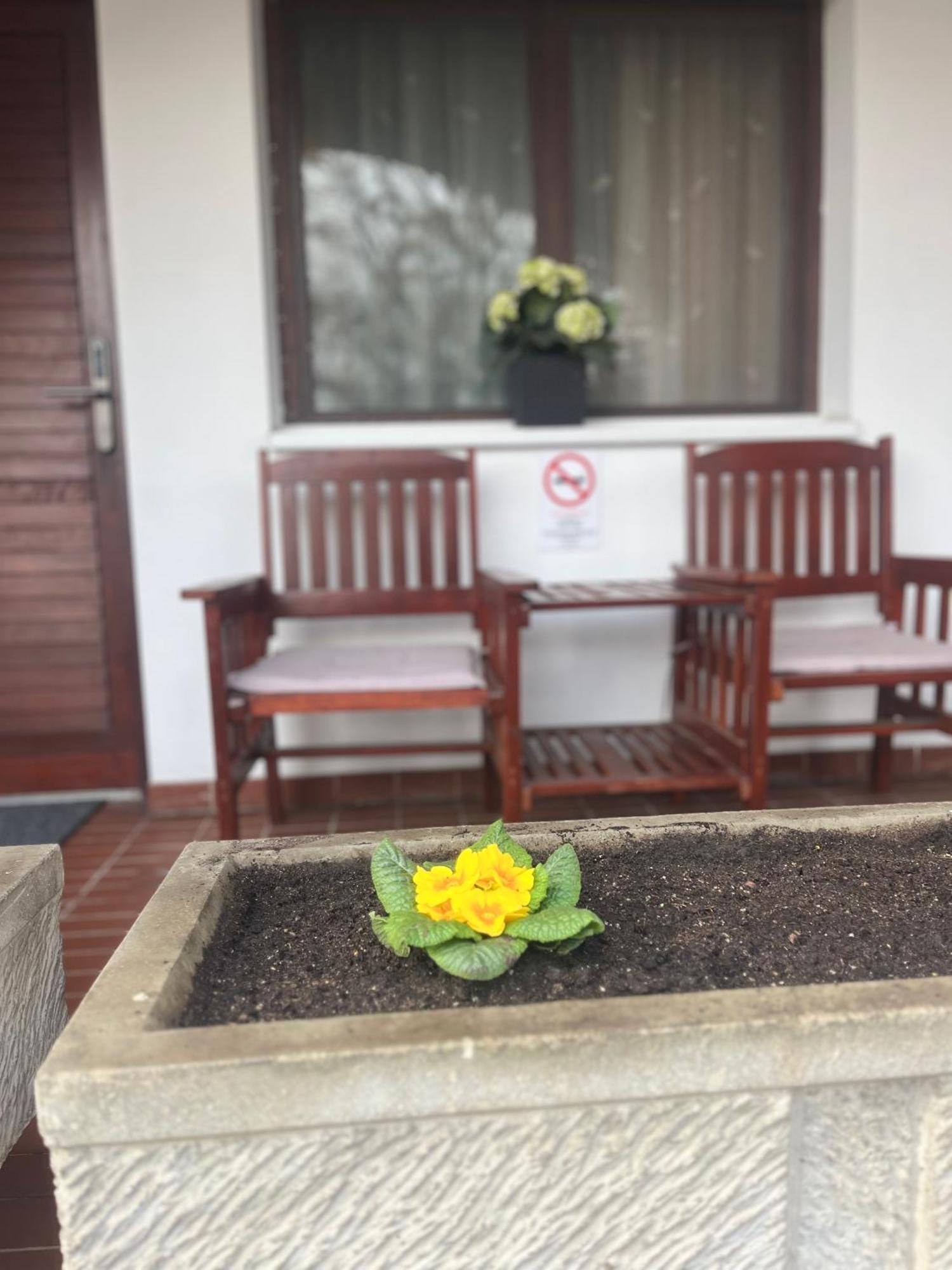 Hotel Oswaldo 부다페스트 외부 사진